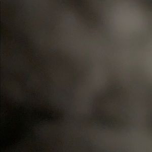 Meet your Posher, Riley